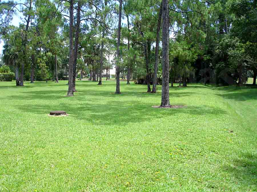 Village Green Landscaping